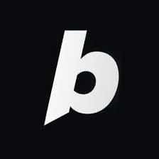Bolt Logo